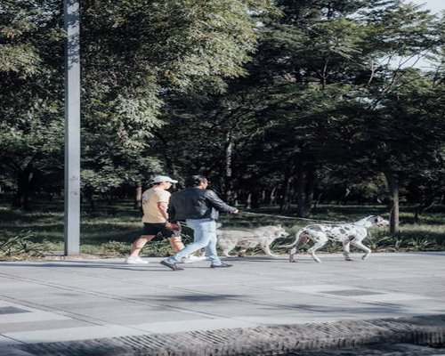 Persona caminando por un parque de la ciudad